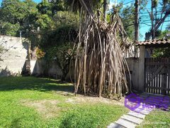 Foto 49